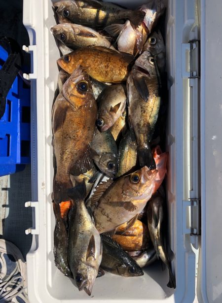 フィッシング キッタカ 釣果