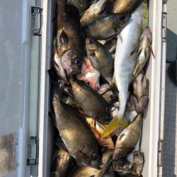 フィッシング　キッタカ 釣果