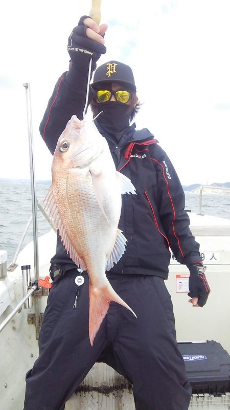 マリンガイド福丸 釣果