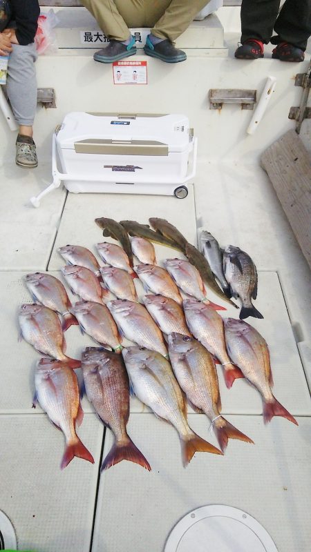 マリンガイド福丸 釣果