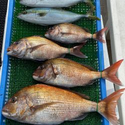 釣人家 釣果