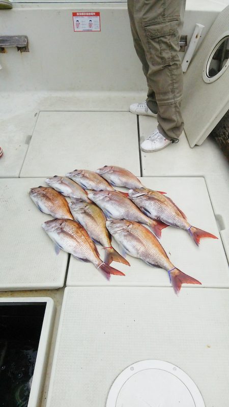 マリンガイド福丸 釣果