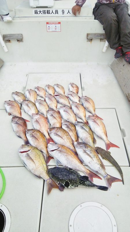 マリンガイド福丸 釣果