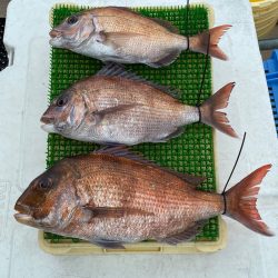 釣人家 釣果