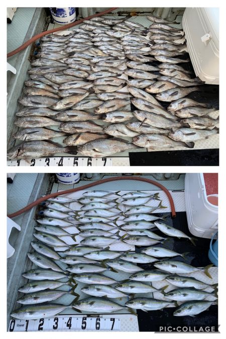 オーシャンスター(Ocean Star) …