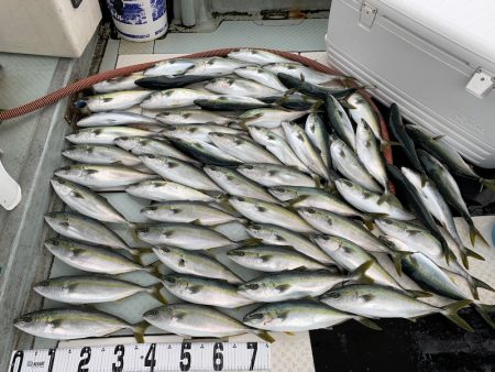 オーシャンスター(Ocean Star) …