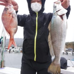 JDI Racing シールズマリンレジャー 釣果