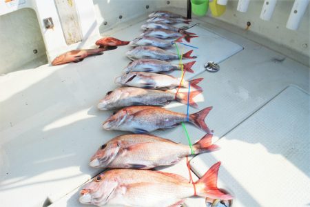 KIM Fishing Guide Ser…