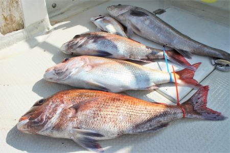 KIM Fishing Guide Ser…