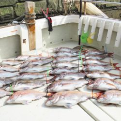 KIM Fishing Guide Service 釣果