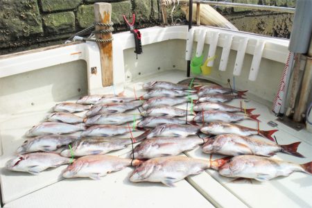 KIM Fishing Guide Ser…