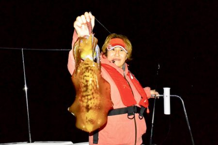 South Current 釣果