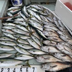 オーシャンスター(Ocean Star) 釣果