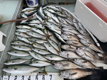 オーシャンスター(Ocean Star) …