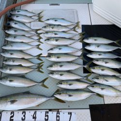 オーシャンスター(Ocean Star) 釣果