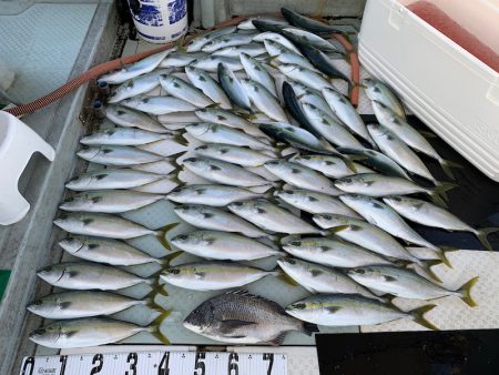 オーシャンスター(Ocean Star) …