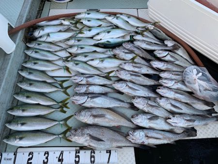 オーシャンスター(Ocean Star) …