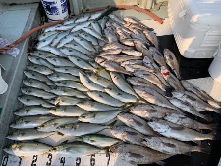 オーシャンスター(Ocean Star) …