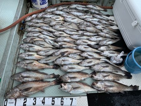 オーシャンスター(Ocean Star) …