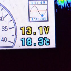 South Current 釣果