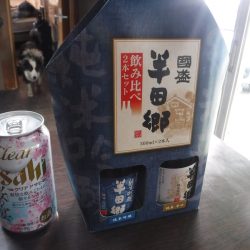 ＪＤＩ　Ｒａｃｉｎｇ　シールズマリンレジャー 釣果