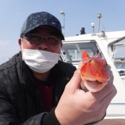 ＪＤＩ　Ｒａｃｉｎｇ　シールズマリンレジャー 釣果