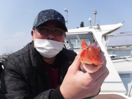 ＪＤＩ　Ｒａｃｉｎｇ　シールズマリンレジャー 釣果