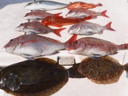 ＪＤＩ　Ｒａｃｉｎｇ　シールズマリンレジャー 釣果