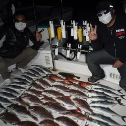 JDI Racing シールズマリンレジャー 釣果