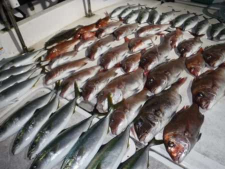 ＪＤＩ　Ｒａｃｉｎｇ　シールズマリンレジャ…