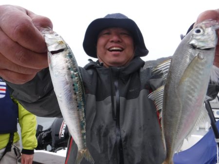 JDI Racing シールズマリンレジャー 釣果