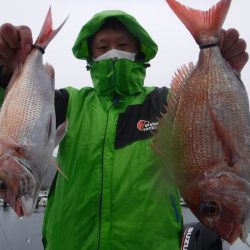 JDI Racing シールズマリンレジャー 釣果