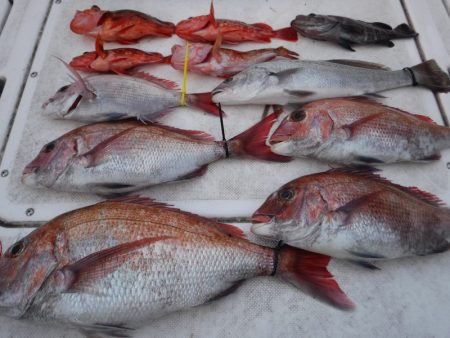 ＪＤＩ　Ｒａｃｉｎｇ　シールズマリンレジャ…