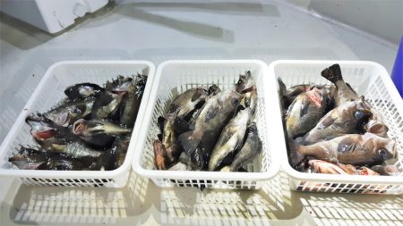 KIM Fishing Guide Ser…