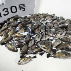 KIM Fishing Guide Service 釣果