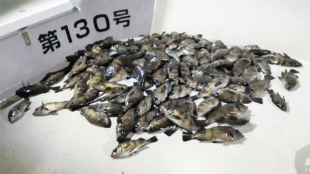 KIM Fishing Guide Ser…