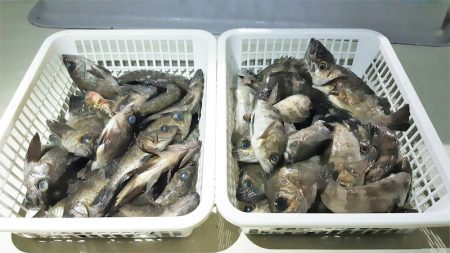 KIM Fishing Guide Ser…