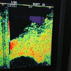 深川 吉野屋 釣果