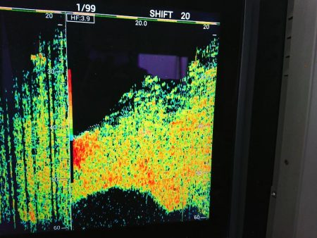 深川 吉野屋 釣果