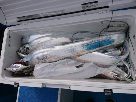 深川　吉野屋 釣果