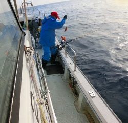 第二清洋丸 釣果