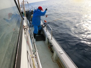 第二清洋丸 釣果