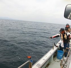 第二清洋丸 釣果