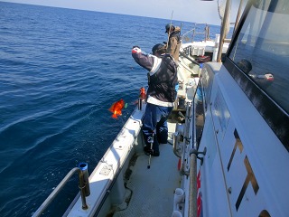 第二清洋丸 釣果