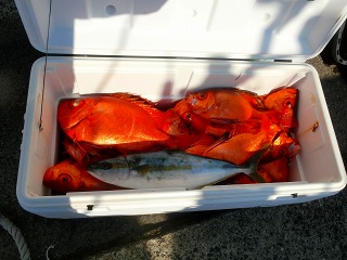 第二清洋丸 釣果