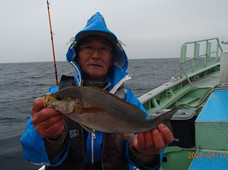 七福丸 釣果
