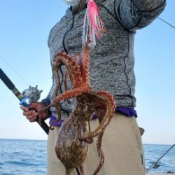 遊漁船 ニライカナイ 釣果