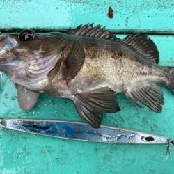 広進丸 釣果