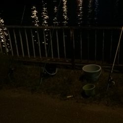 淀川のウナギパート3