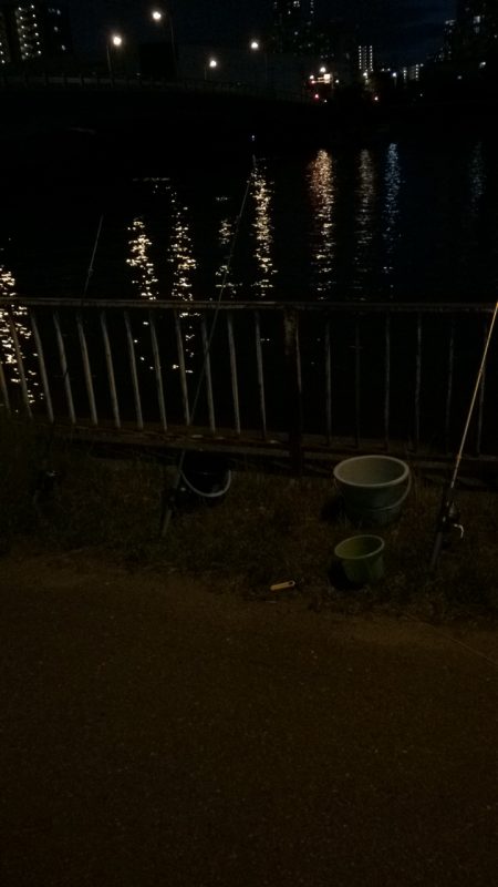 淀川のウナギパート3